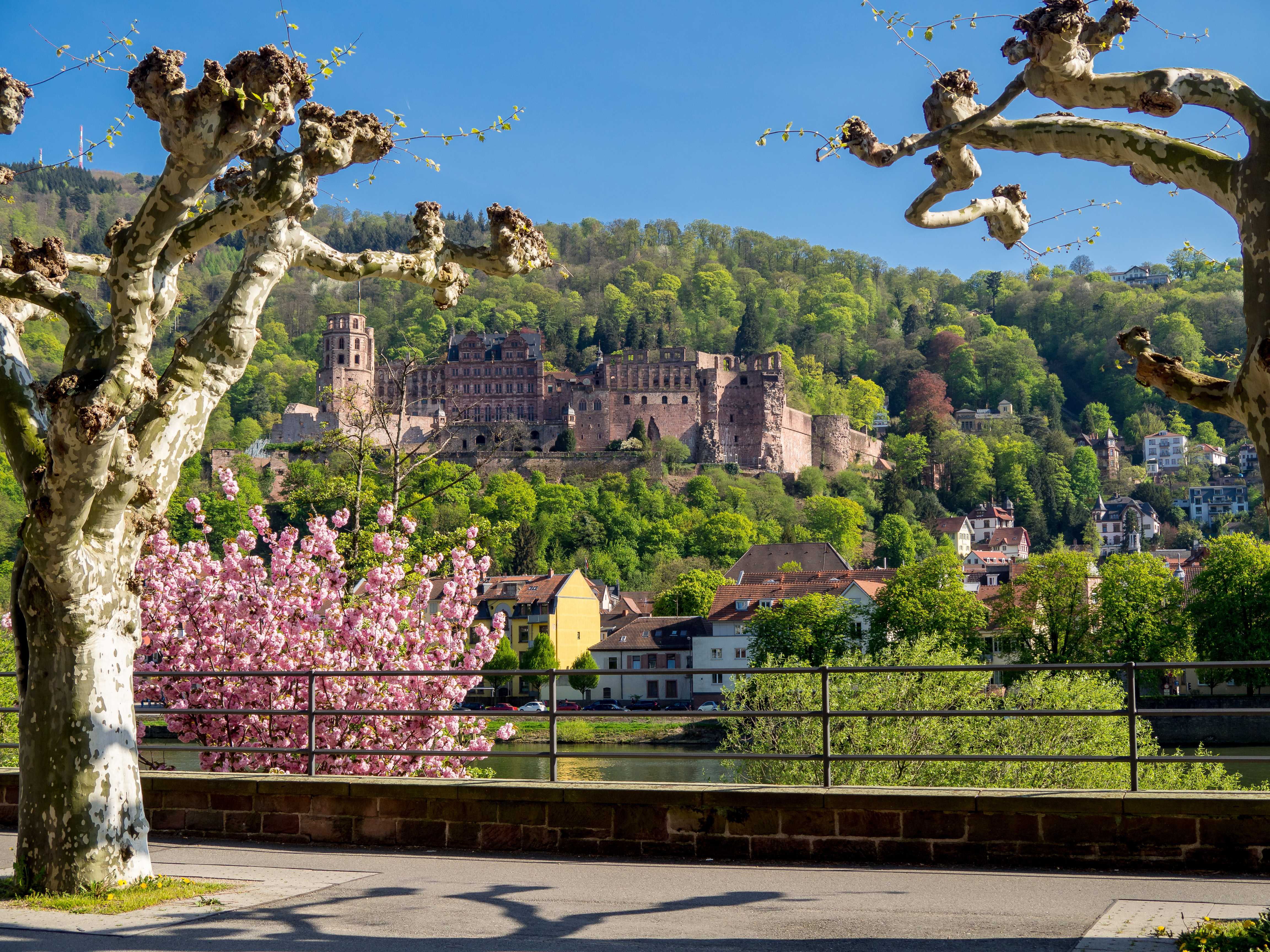 Heidelberg spring